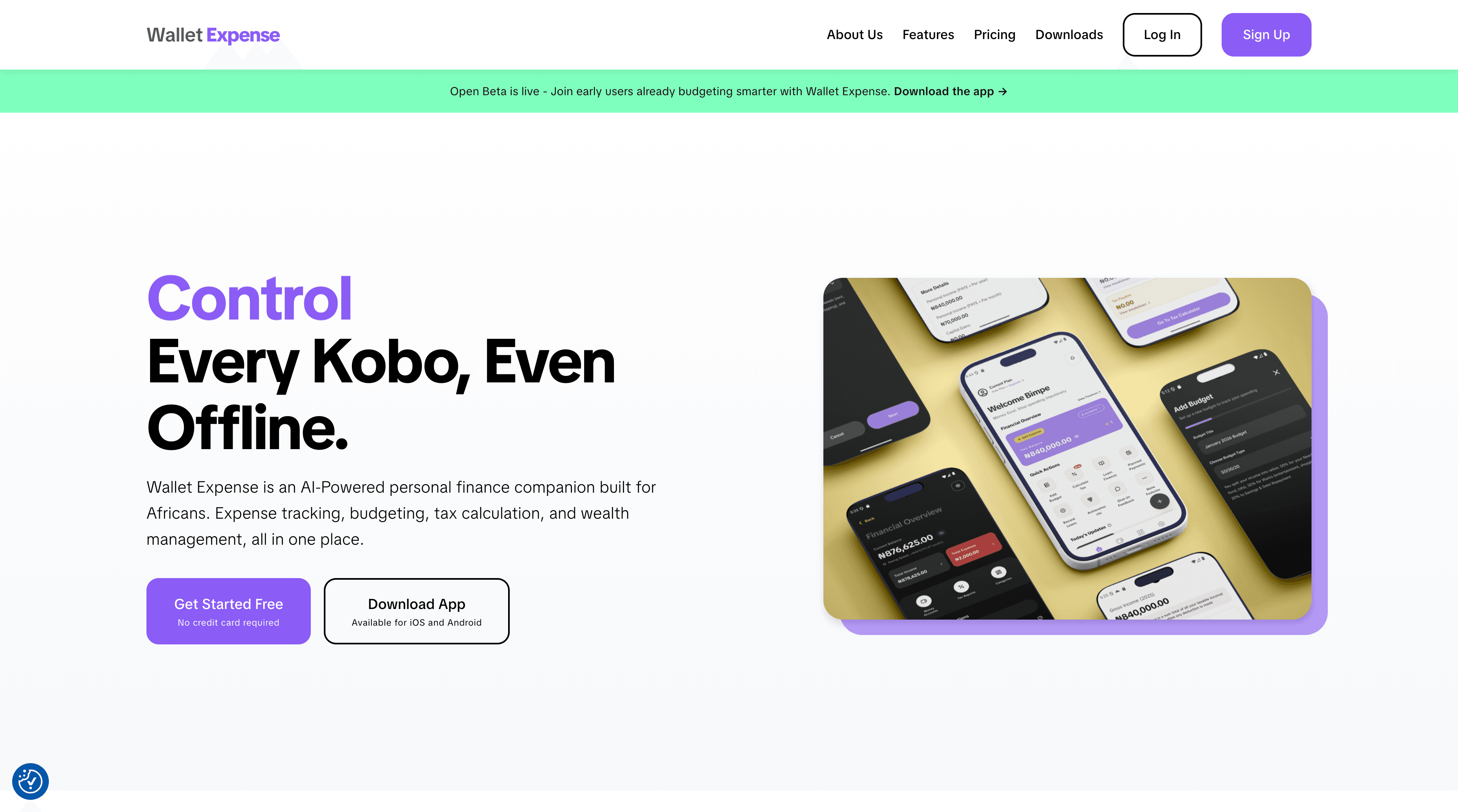 Wallet Expense - Your Personal Financial Companion