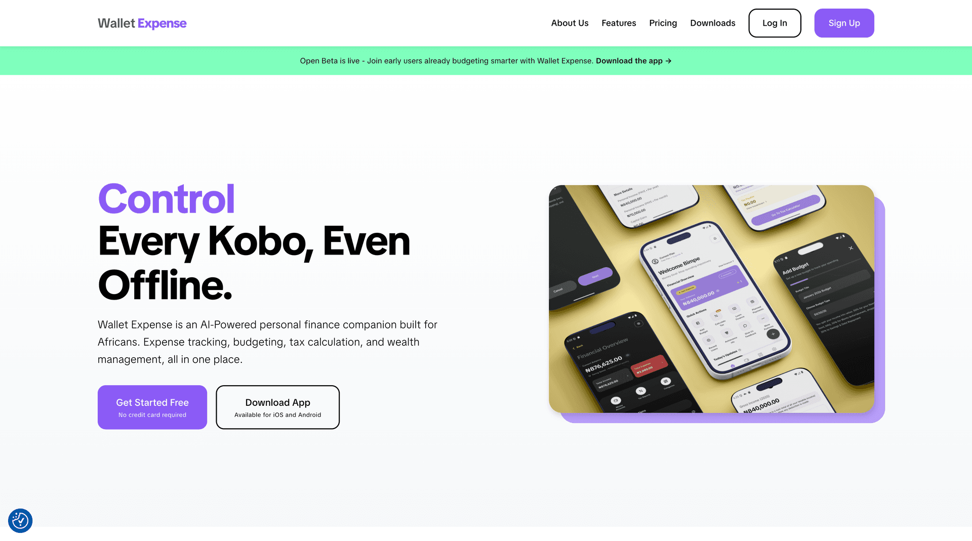 Wallet Expense: Your Personal Financial Companion