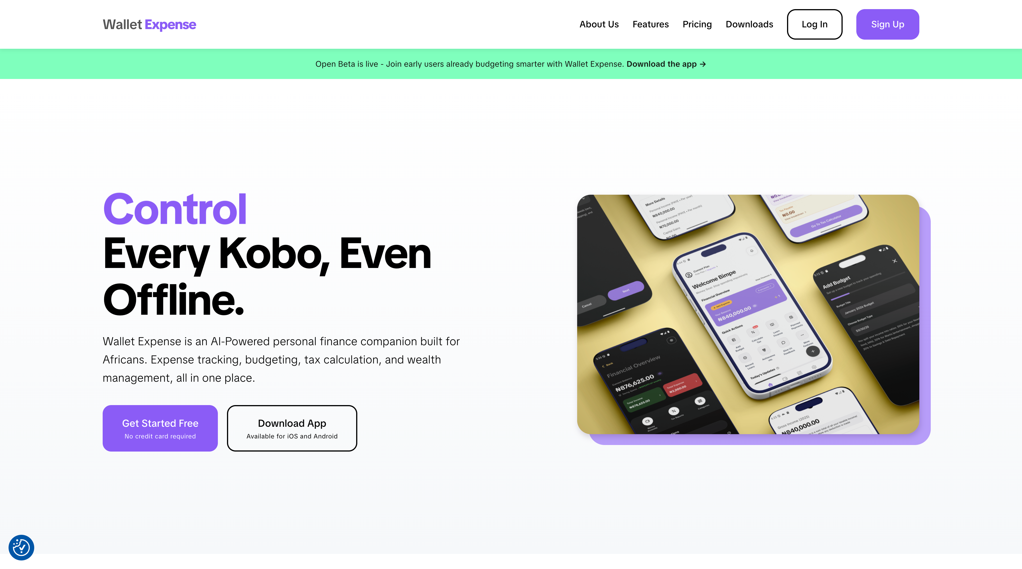 Wallet Expense: Your Personal Financial Companion